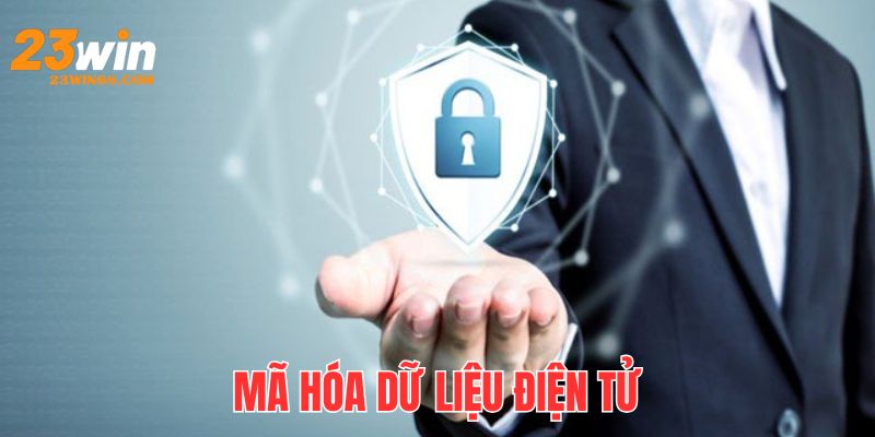 Chúng tôi mã hóa tất cả dữ liệu bằng công nghệ SSL hiện đại 