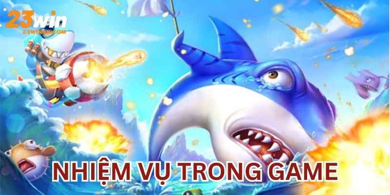 Những hoạt động và sự kiện chính khi đi tìm kho báu